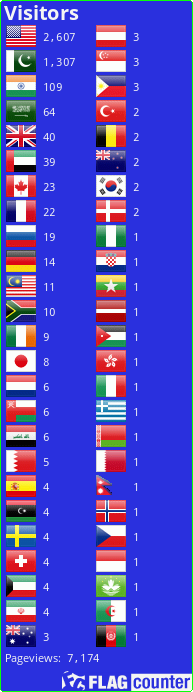 Flag Counter