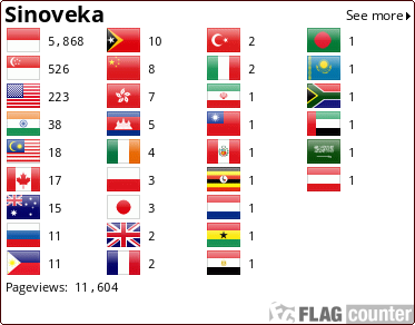 Flag Counter