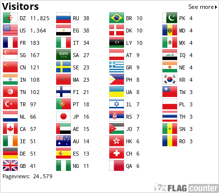 Flag Counter