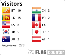 Flag Counter