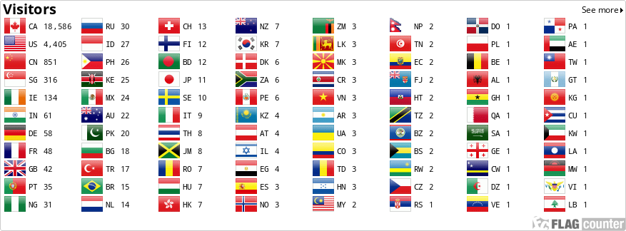 Flag Counter