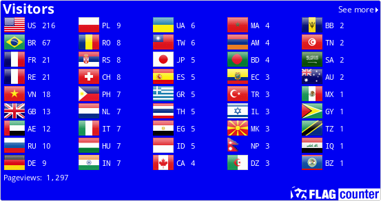 Flag Counter