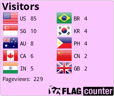 Flag Counter