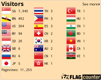 Flag Counter