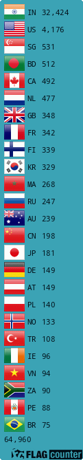 Flag Counter