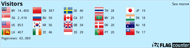Flag Counter