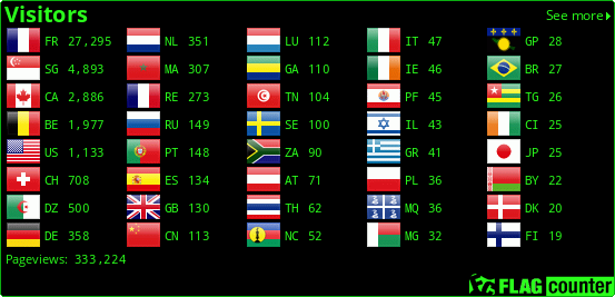 Flag Counter