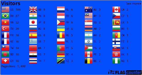 Flag Counter