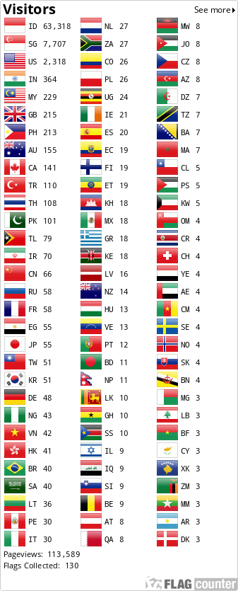 Flag Counter