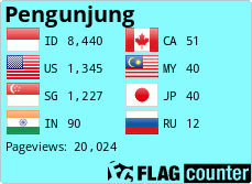 Flag Counter