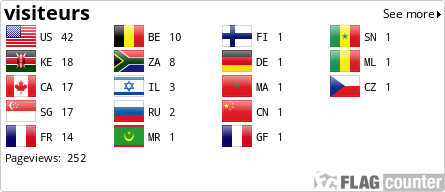 Flag Counter