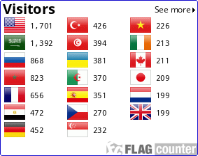 Flag Counter