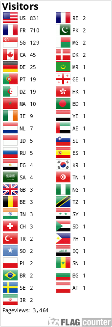 Flag Counter