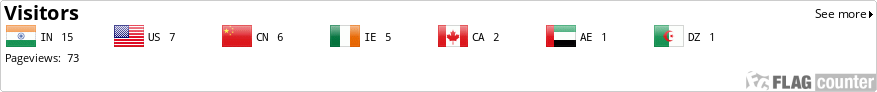 Flag Counter