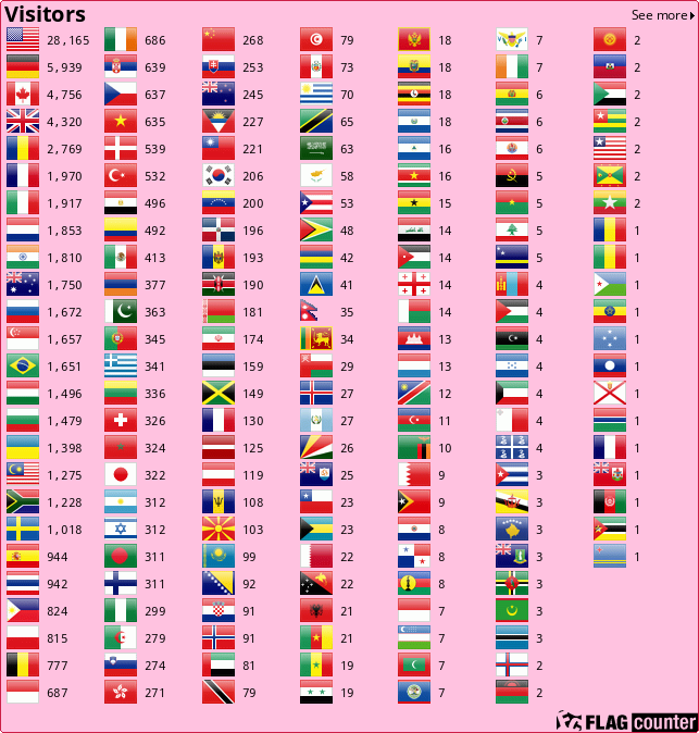 Flag Counter